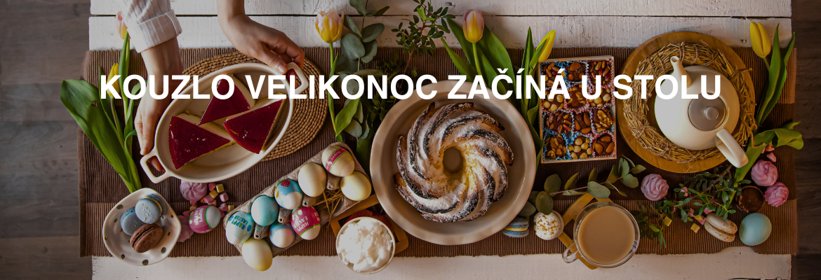 banner CZ desktop (22)